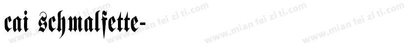 cai schmalfette字体转换